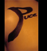 logo puce productions